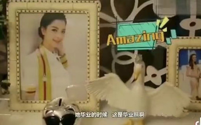 北京富豪泰国旅游遇奇缘，送500万房子，父母：找一个正常女人吧