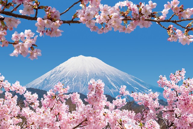 世界杯抽签德国西班牙日本同组,西班牙德国日本