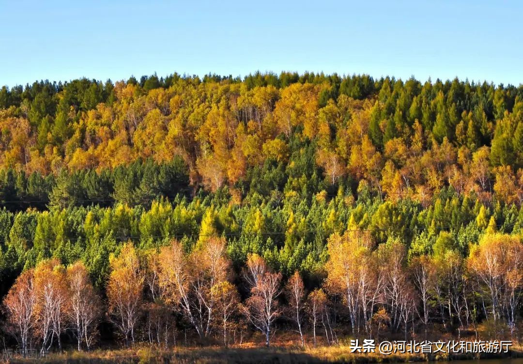 初秋秋色,9月最美风景