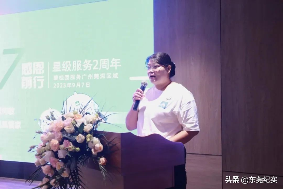 凤凰到家服务怎么样,值得信赖的家政专项服务