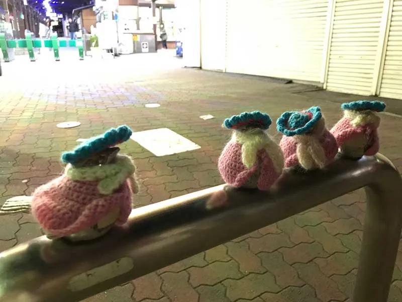 害怕小鸟受凉，有人悄悄为它们织了22年的毛衣