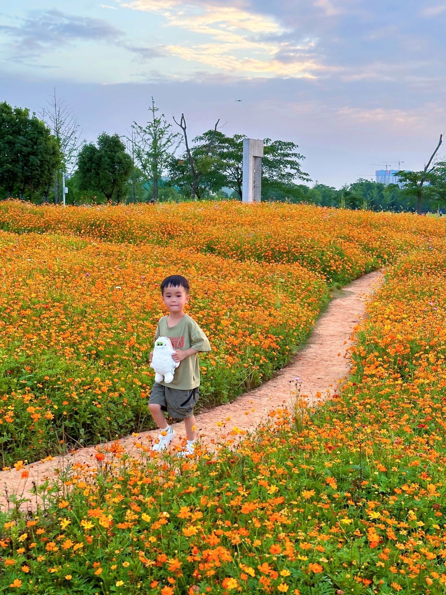 长沙梅溪海洋公园游玩攻略,长沙格桑花海旅游攻略