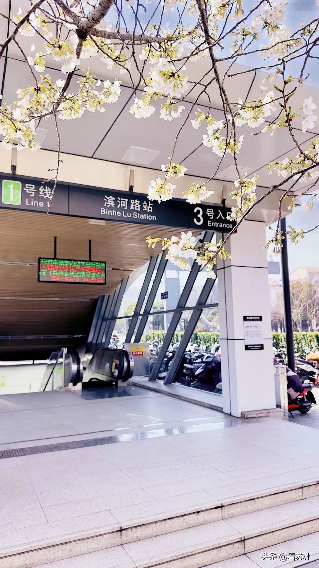 苏州赏花的地方,苏州三月中旬赏花去处