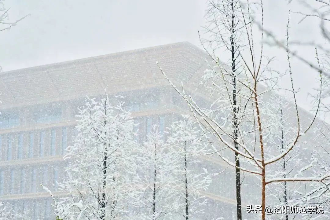 欢迎报考！选择洛师的N个理由