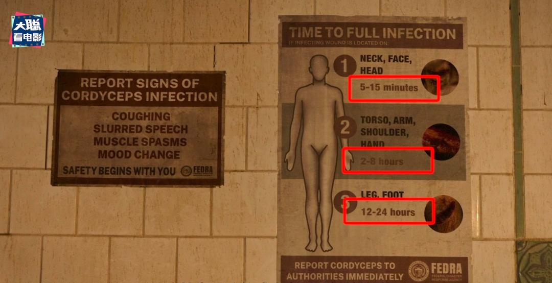 最后生还者第1集解说,最后生还者第1集