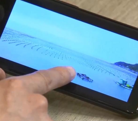 电子老板转行养鱼，建造防弹深海网箱，年销售额超5000万元