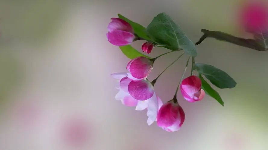 最好的友谊是相互鼓励一起成长,交友宣言正能量