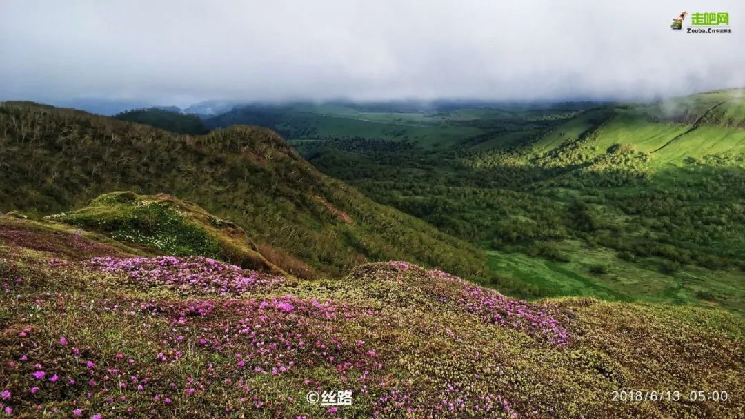 国内七月旅行最值得去的避暑胜地,7月份实惠的避暑地方国内