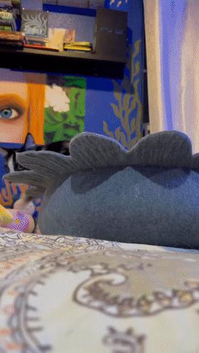 因为长了嘴一字胡，奶牛猫无人领养，却因祸得福成了网红