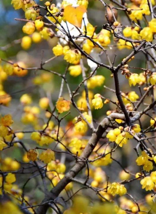 石家庄下雨哪里风景最美,石家庄冬季风景好的地方