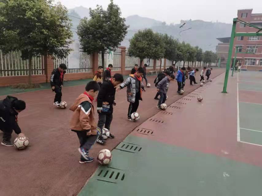 双减政策下的小学教育质量的提升,双减政策下小学美术教育新路径