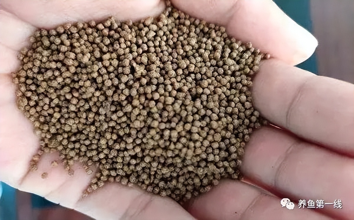 鱼饲料二合一,鱼饲料各种营养成分的含量