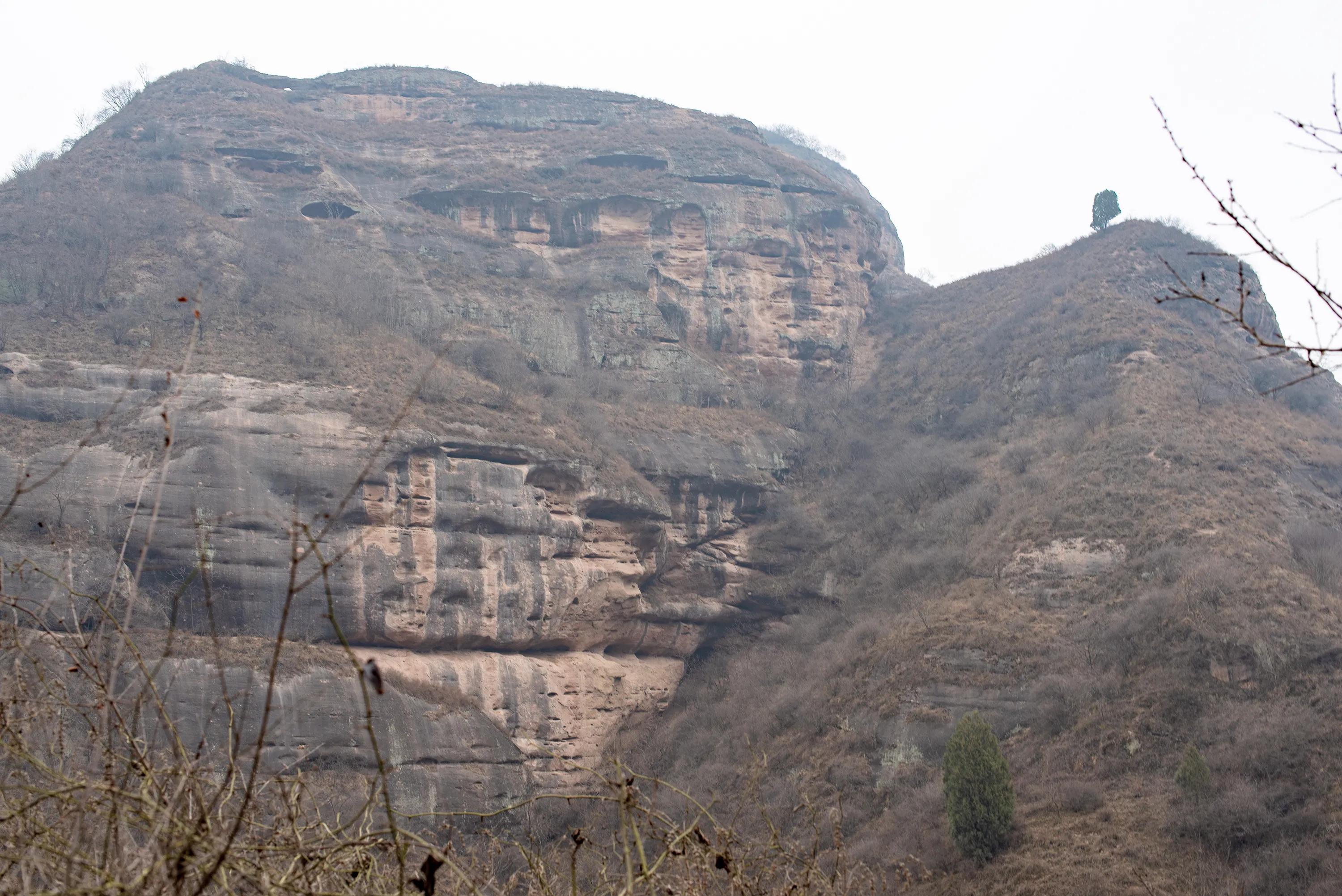 尼康调出油润感,尼康油润点的镜头
