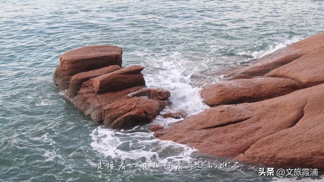 东海1号海钓,东海1号