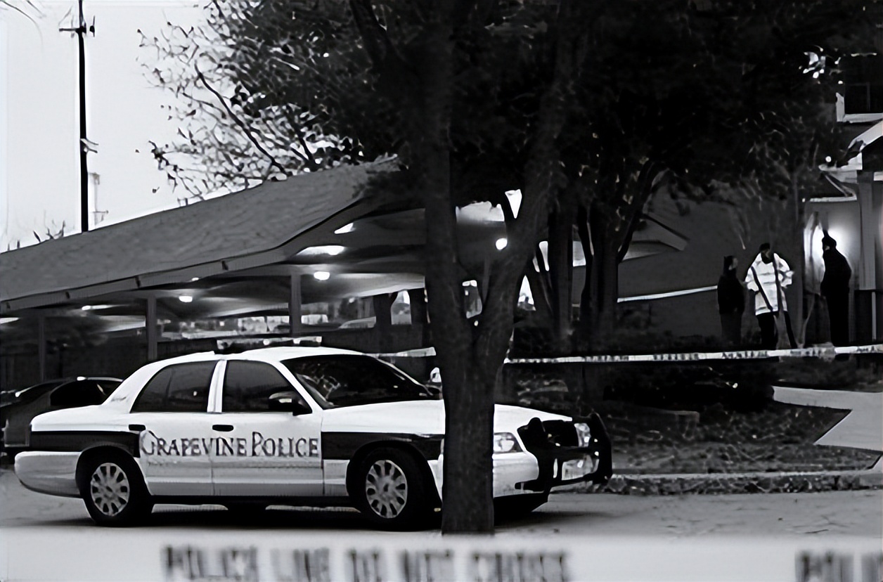 1998年美国温顺杂交犬咬死女主人,1998年温顺杂交犬将主人折磨致死