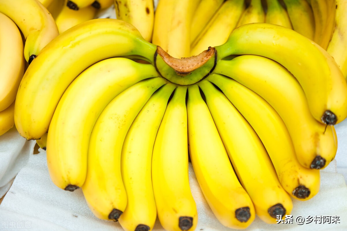 怎样挑选水果视频教程,买水果挑选技巧