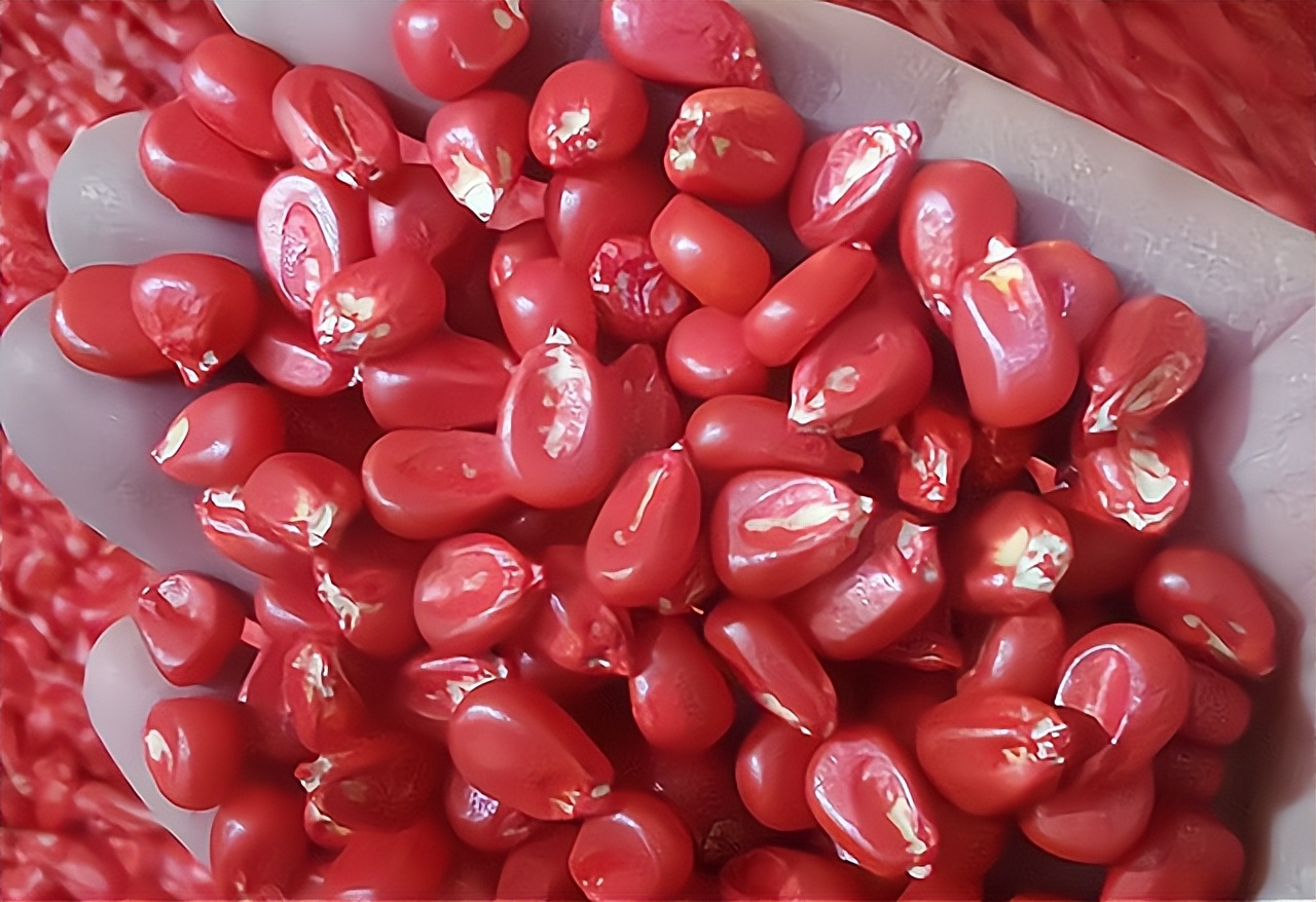 买玉米种子在哪买放心,卖玉米种子的技巧和经销模式