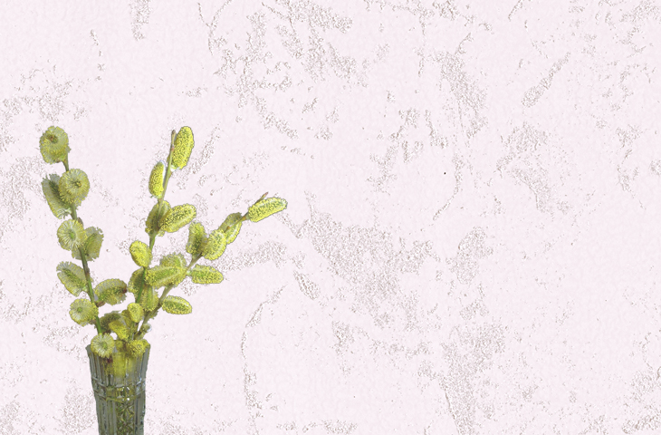 意大利进口涂料品牌排行榜,进口艺术涂料哪家工艺好