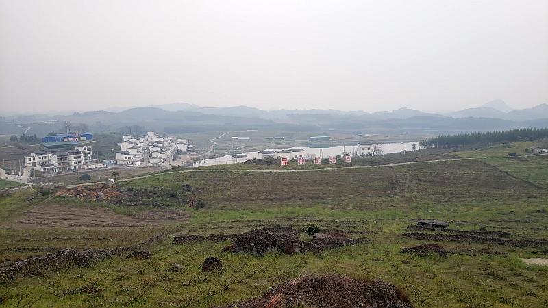 广西吴茱萸种植技术,广西吴茱萸药材种植