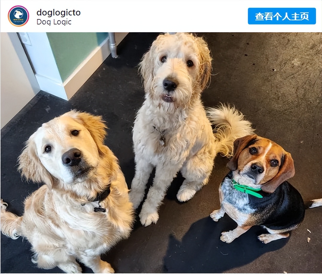 多伦多短期工作,多伦多兼职时薪