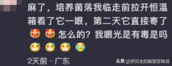 你可能不信：我爸在家里泡姜的图，能气死五个博士