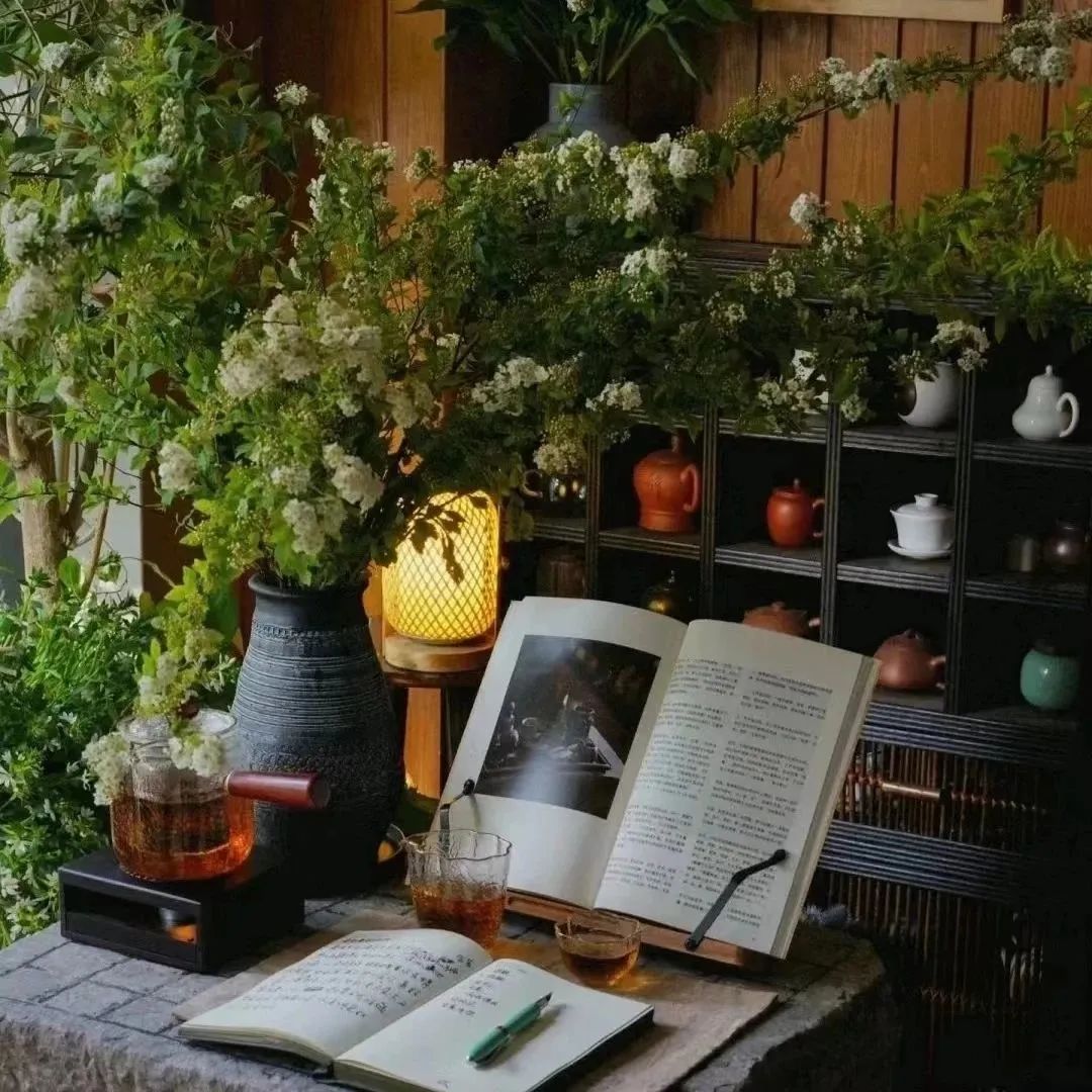 餐厅氛围感背景图,纯粉背景图氛围感