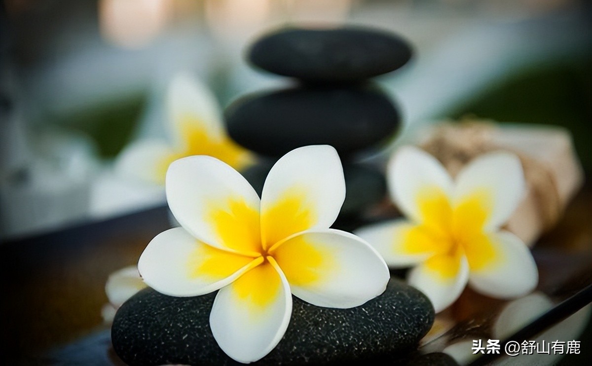 命犯小人如何应对小人,命里有小人犯什么意思