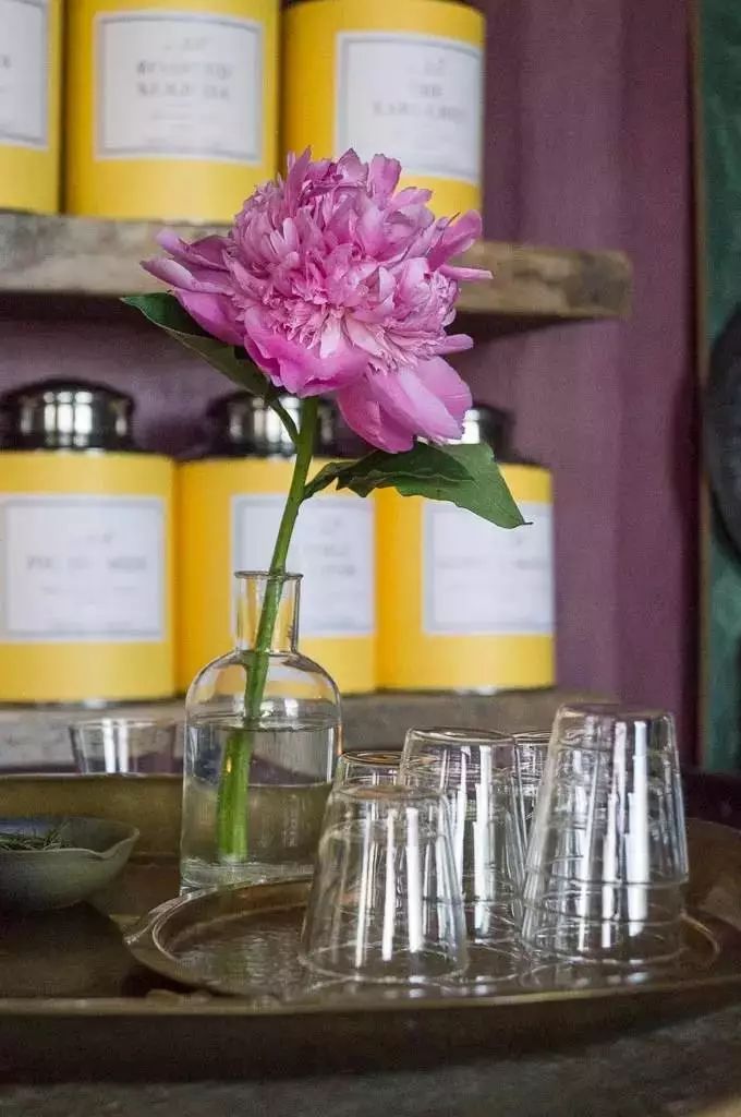 鏂囧湥鑼惰瘽,鏂囪儨鑼惰