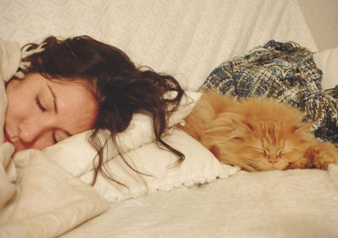 跟猫咪睡觉要注意哪些问题,和猫咪睡觉有什么要注意的