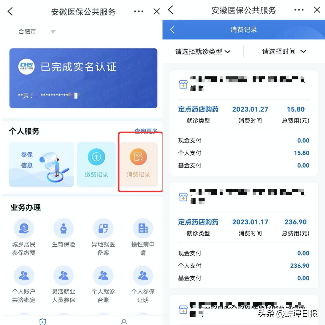 便捷高效查询,官网一键查询