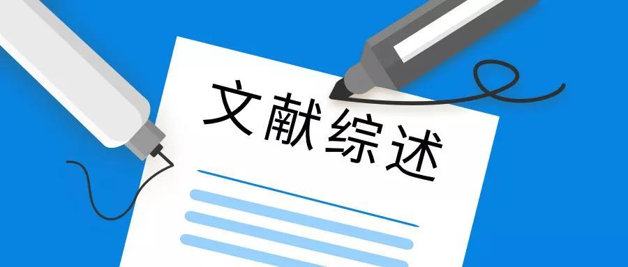 原来论文还可以这样写,论文居然可以这样写