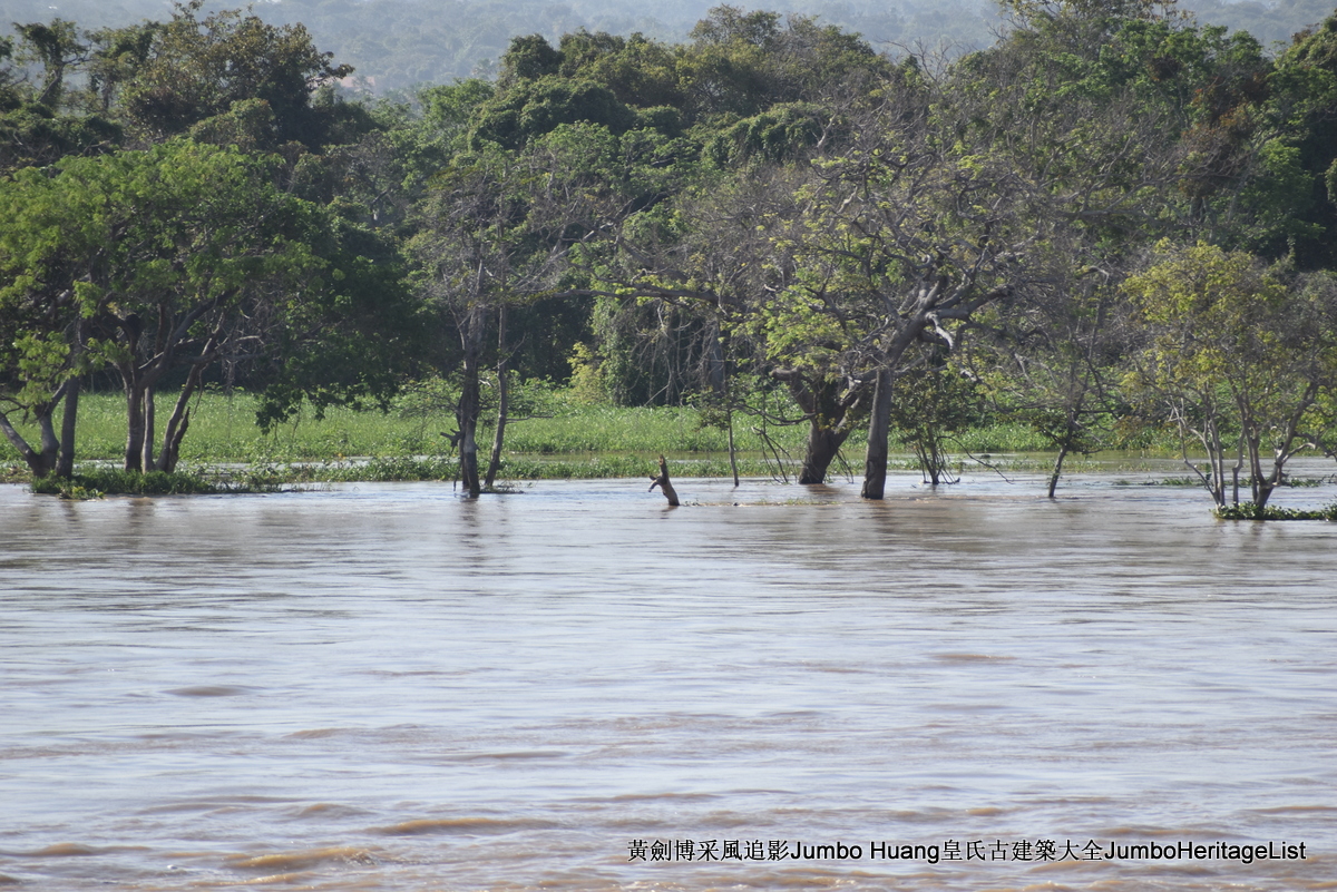 第5047回：消失的亚马逊文明，流失的林下聚居地
