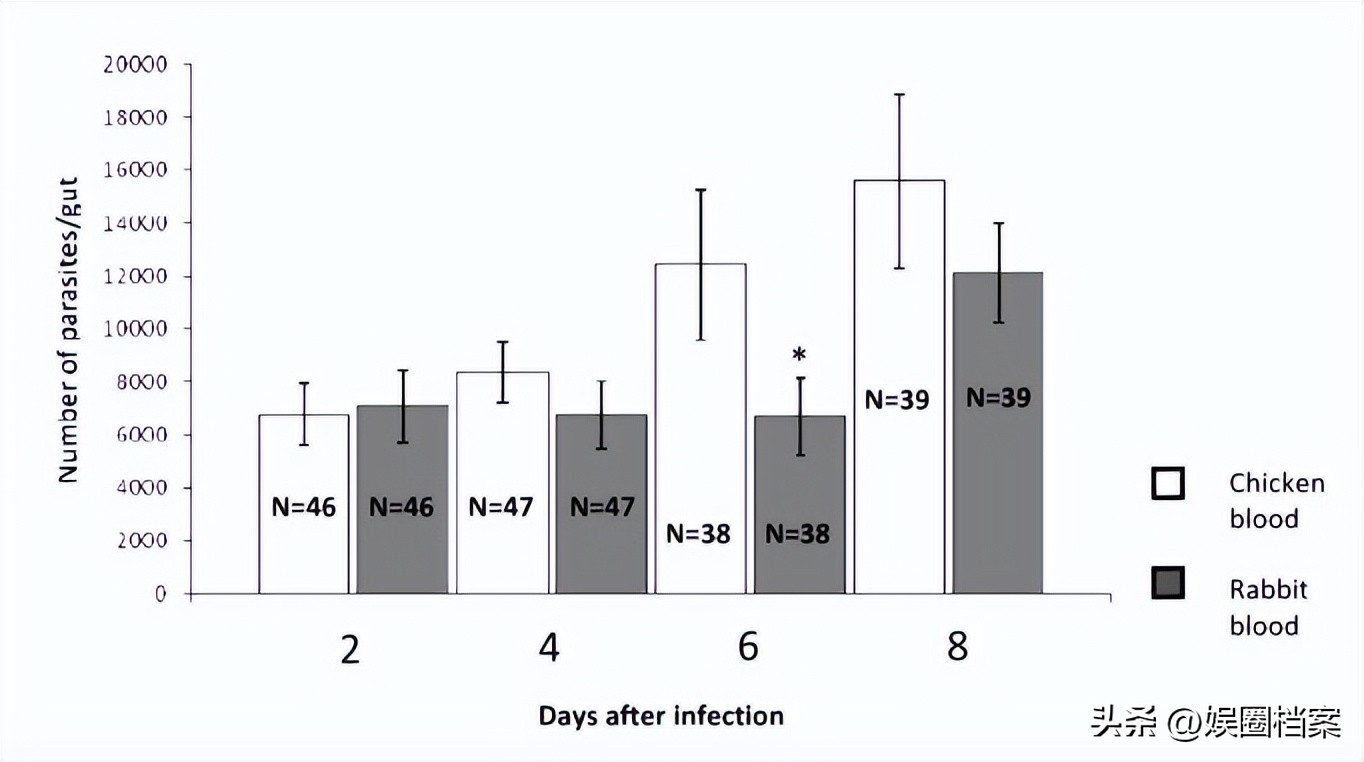血粉有什么营养价值,血粉打窝的危害