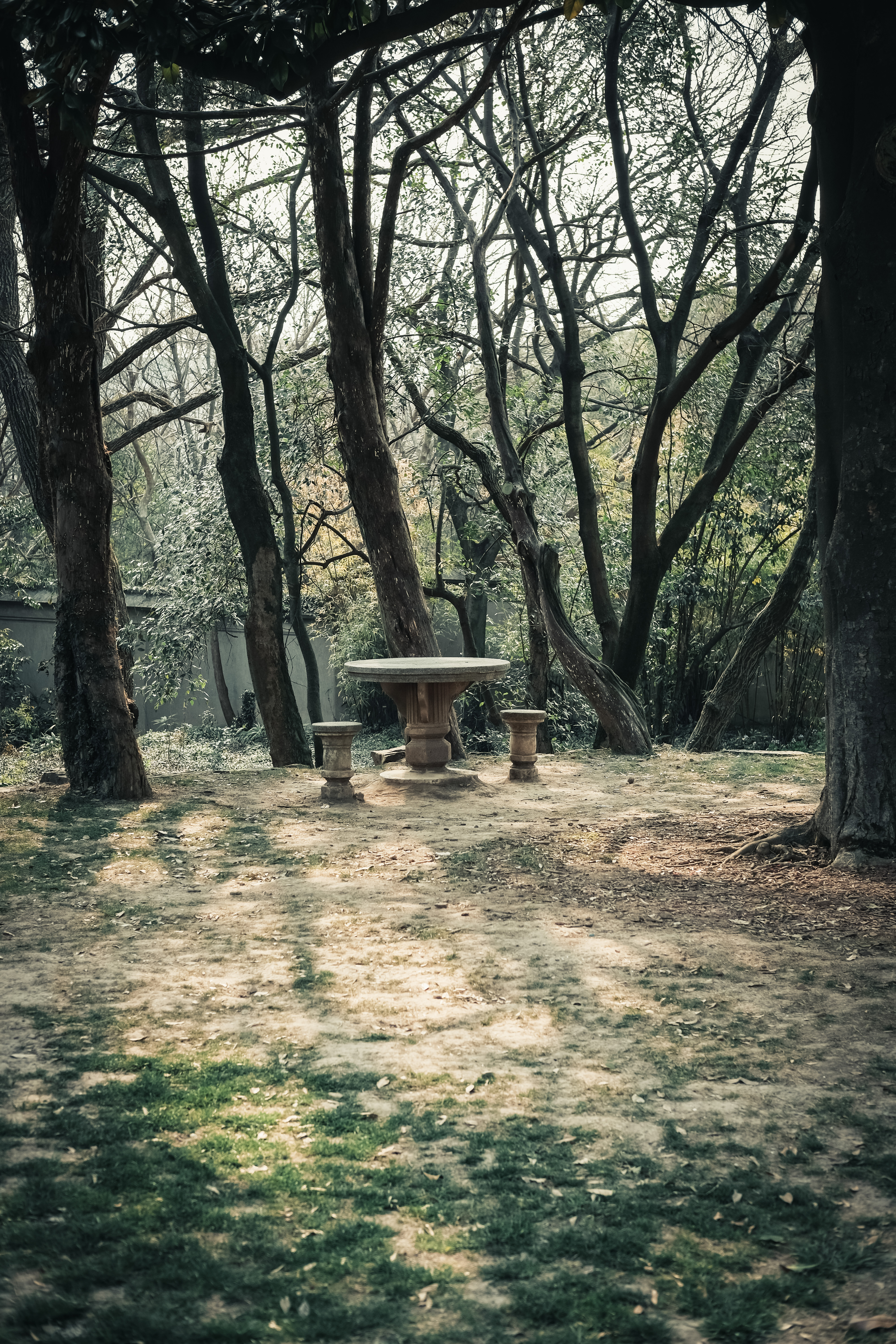 老梅园，你没有游览到；你游览的只是新梅园