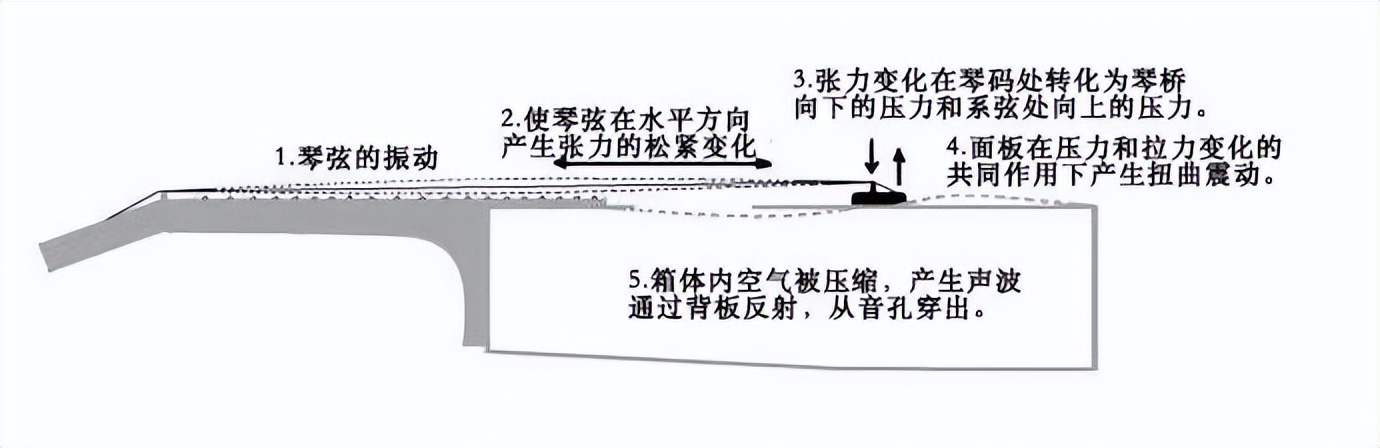 吉他背侧板,吉他怎么选择尺寸新手