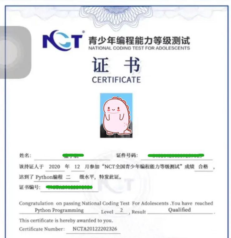 nct全国青少年编程能力等级测试,nct青少年编程能力测试等级官方