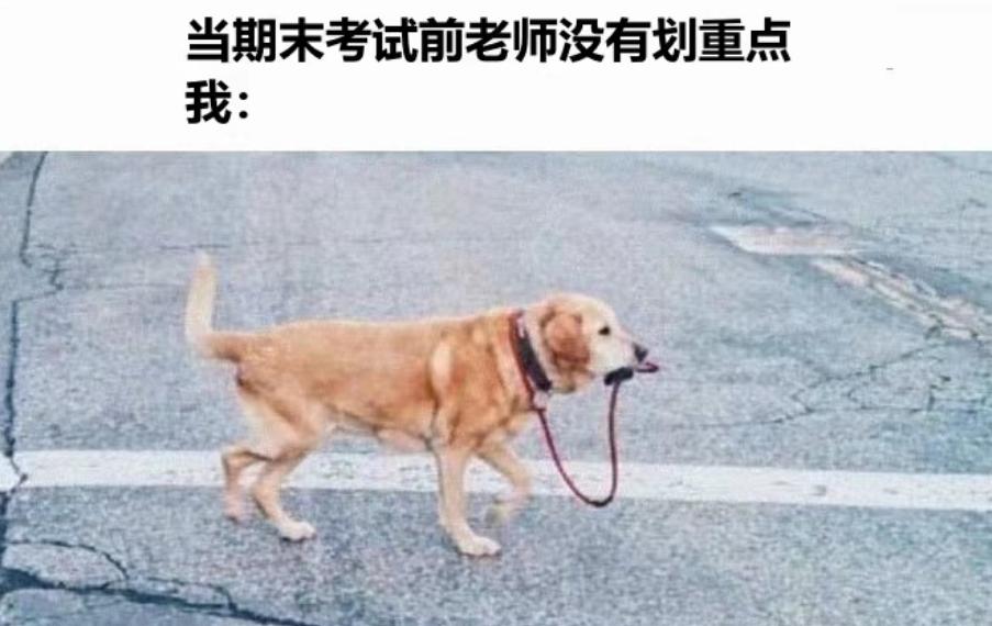 “很怀疑他们的精神状态”，大学生做梗图吐槽考试，网友笑出鹅声