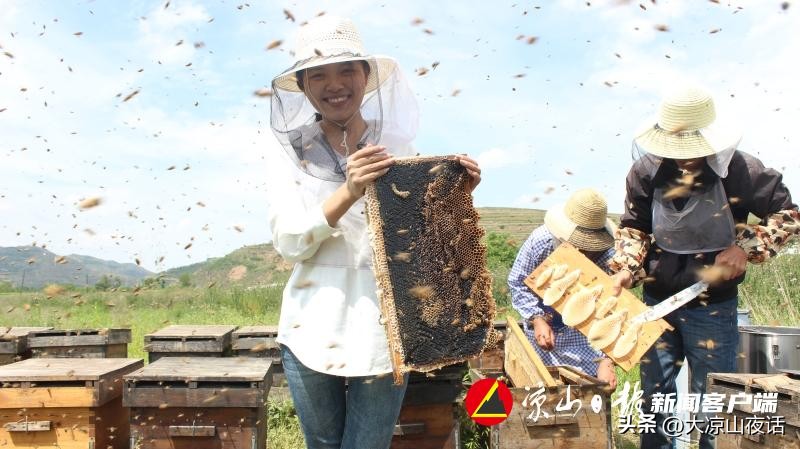 80后夫妻返乡创业闯出脱贫致富路,80后夫妻返乡创业甘当乡村园艺师