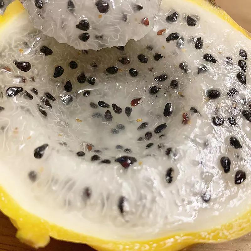 水果中的劳斯莱斯您吃过么