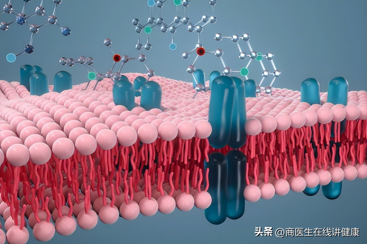 长期服用维生素会造成肝损伤吗,乱吃维生素导致肝衰退