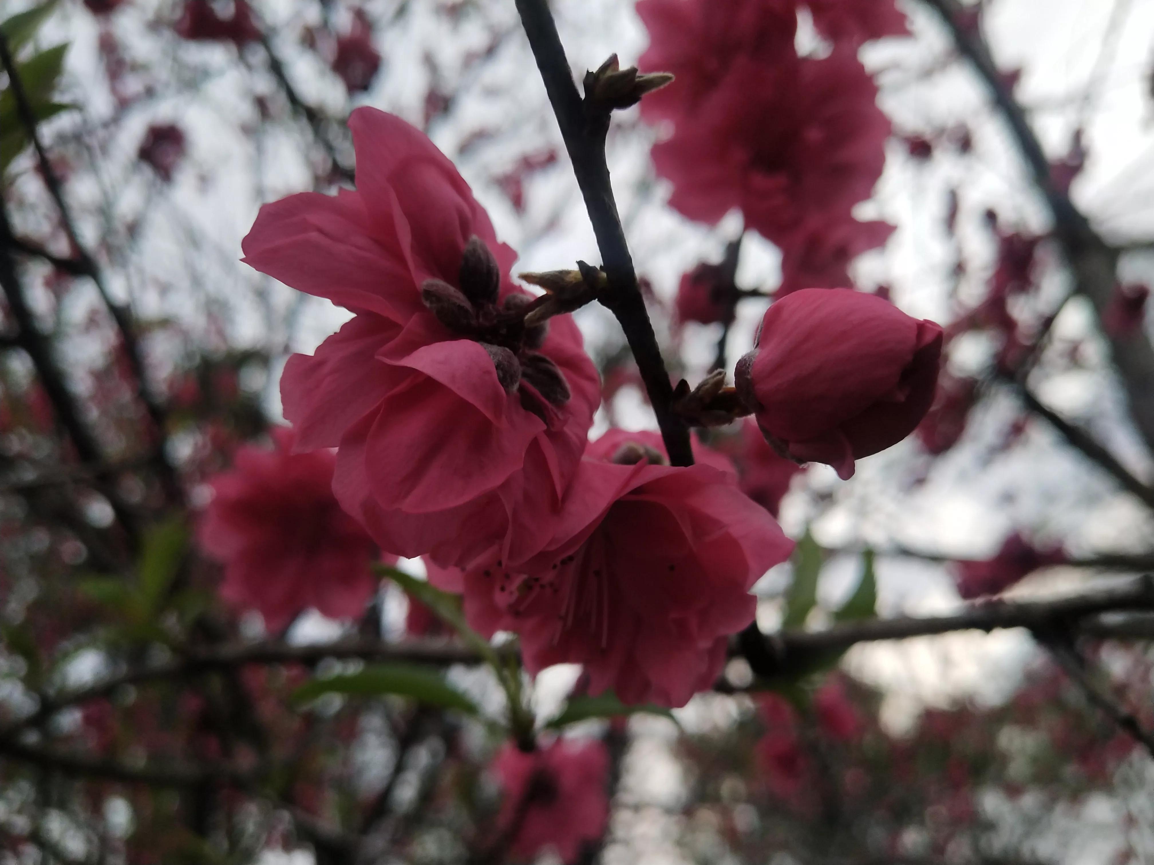 为让我参加同事孩子百日宴，丁克老公花29800给我买包包