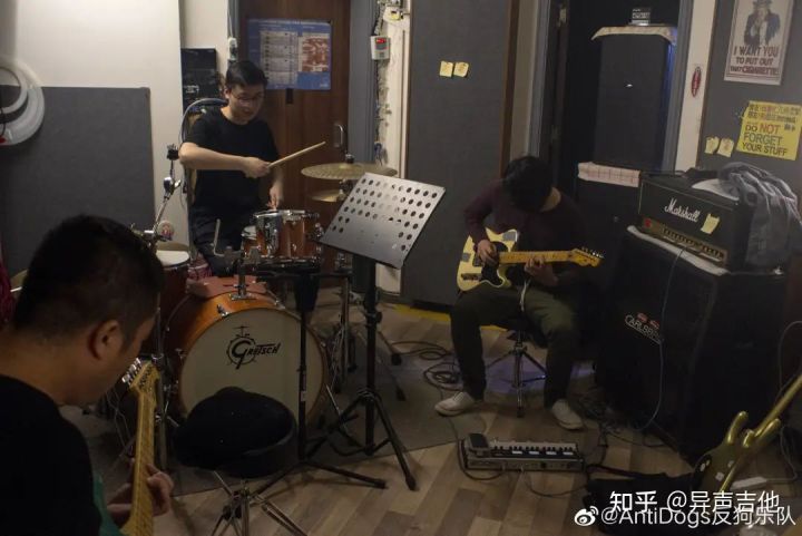 斑鸠的五种常见叫声,疫情下我学会了什么技能