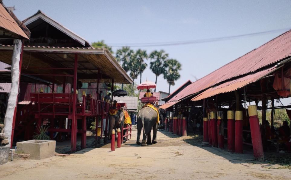 坐泰国火车,泰国坐火车需多少钱啊