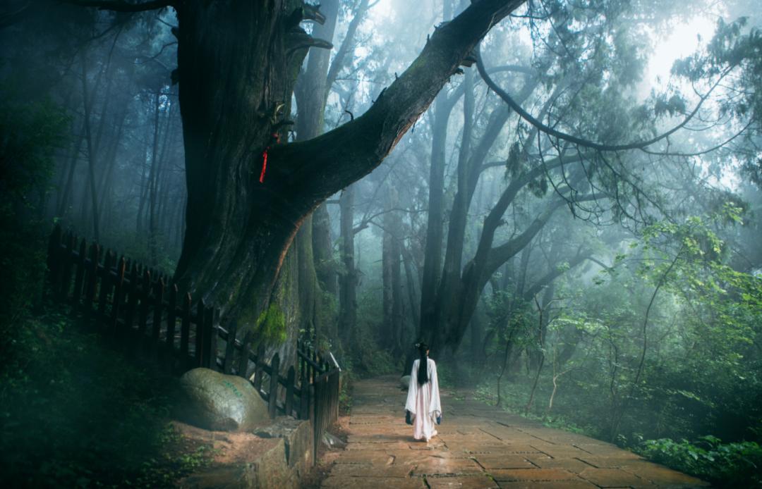 广元旅游景点免票,2020年广元哪些景区免门票