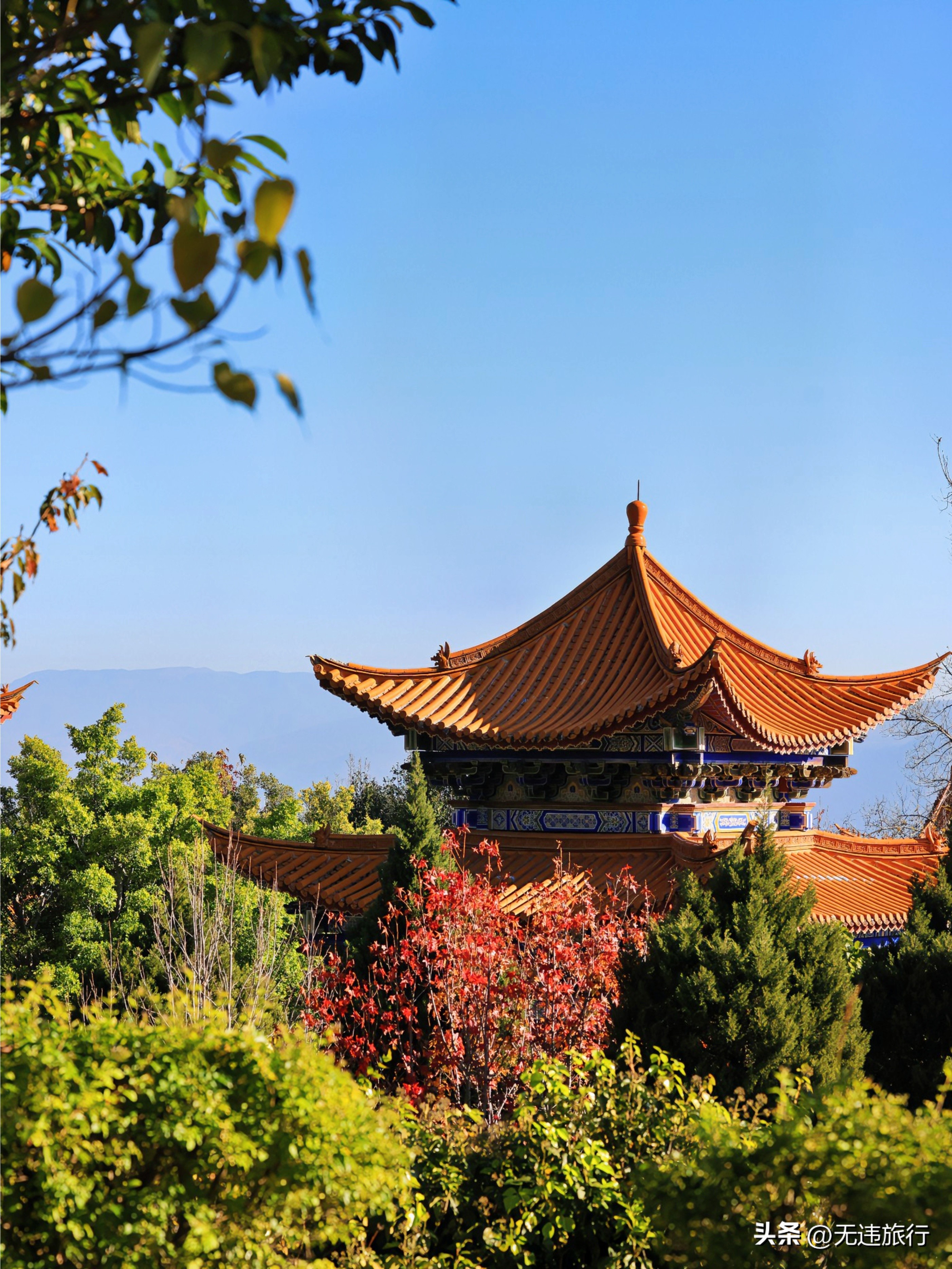 大理古城银杏叶美景,大理崇圣三塔附近景点