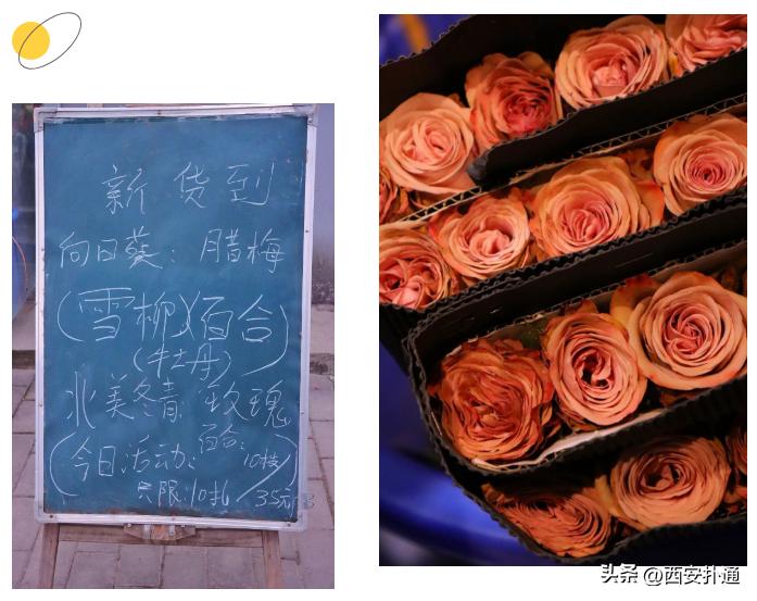 西安情人节去哪比较好,西安买花攻略