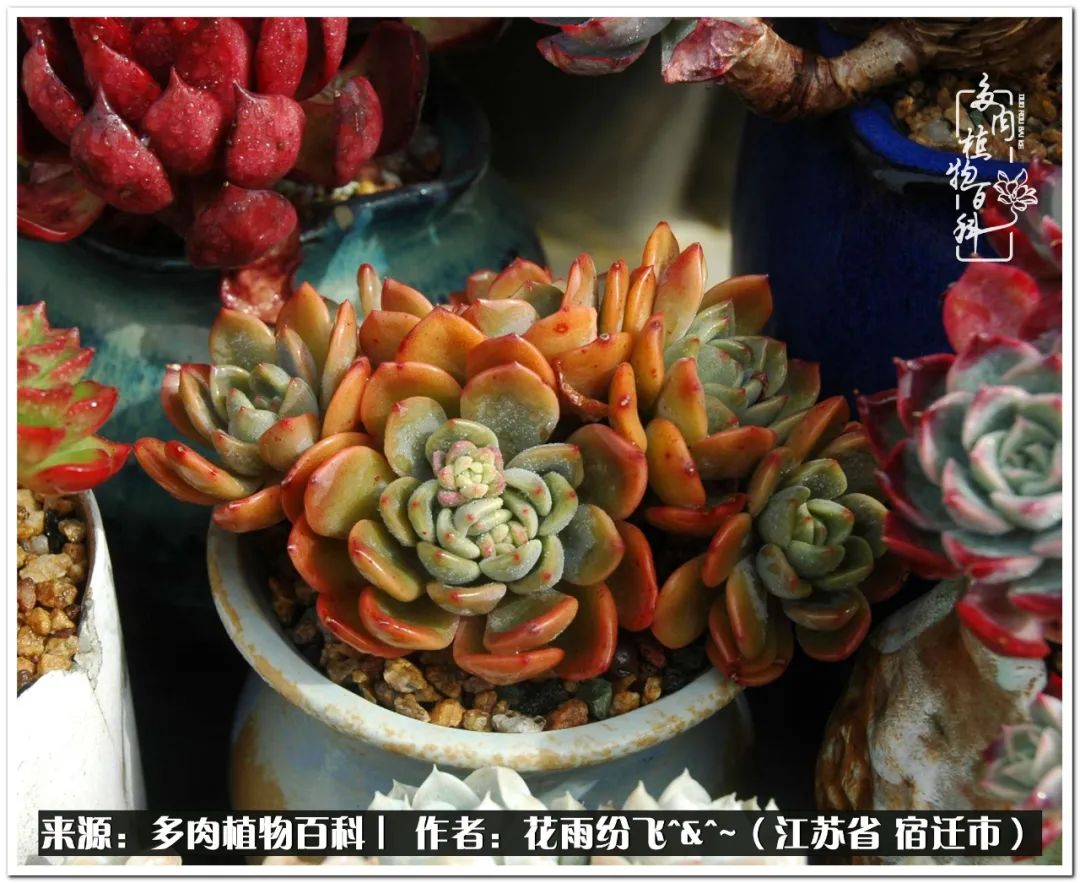 回味童年无忧无虑的快乐时光,童年最快乐的时光