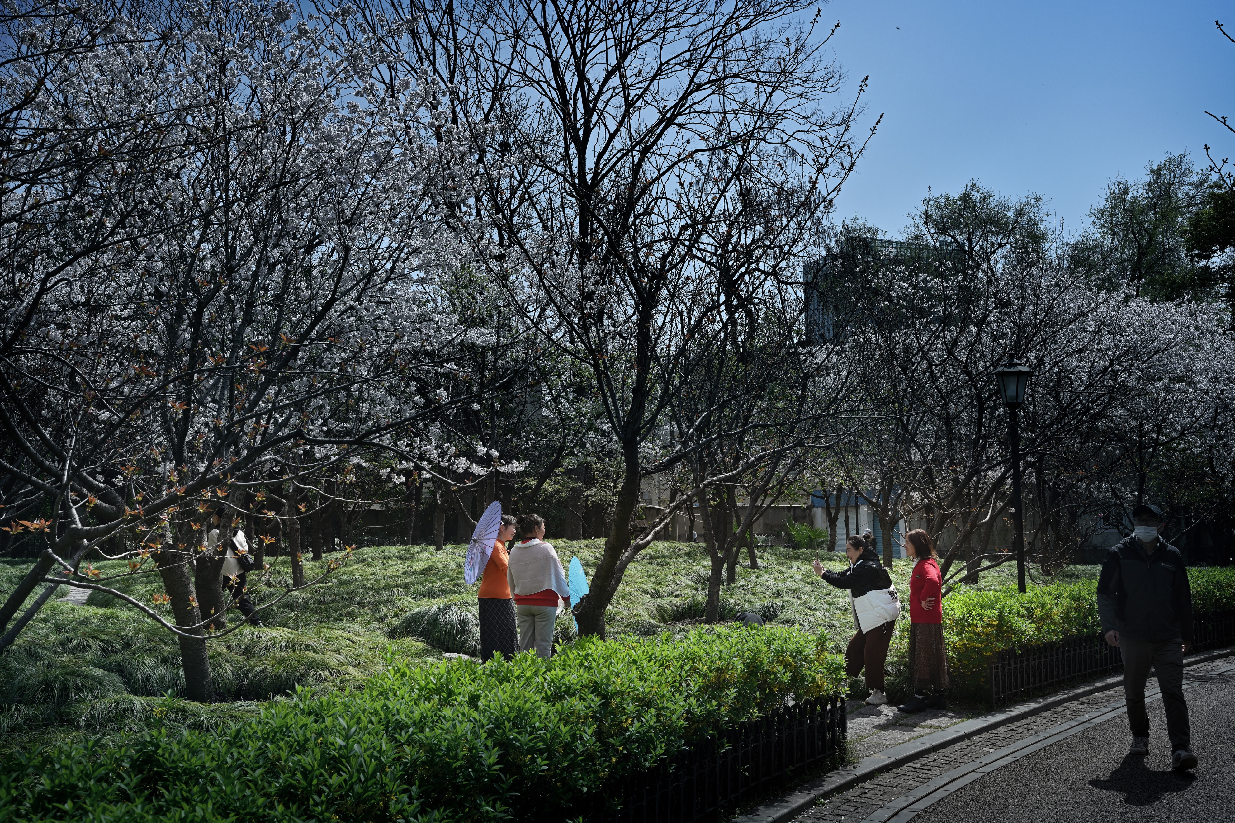 最近上海中山公园,最新上海中山公园介绍