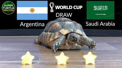 大熊猫成功预测世界杯,世界杯熊猫预测