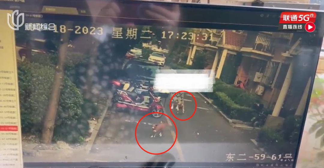 女子小区被狗咬,小区狗咬到人报警警察怎么处理呢